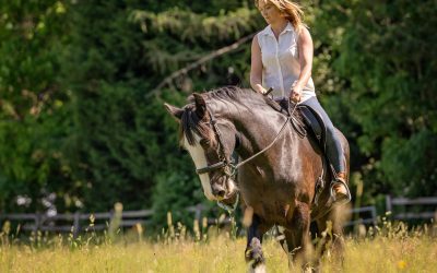 Therapeutic Riding